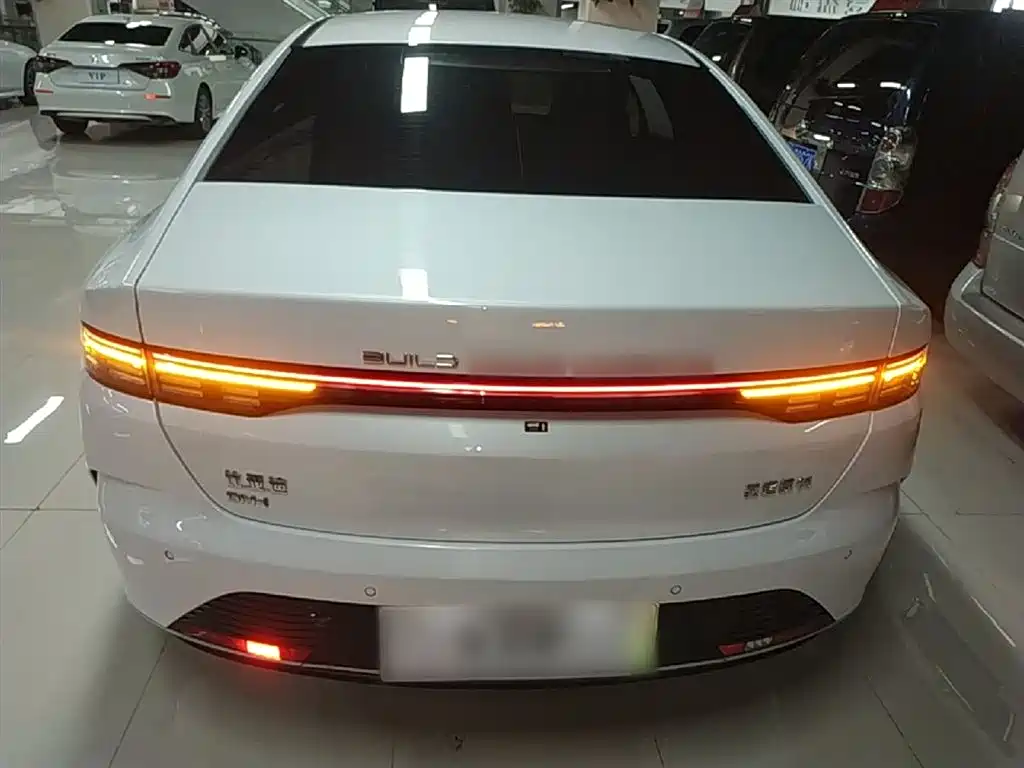 BYD Destroyer 05 2024 Glory Edition DM-i 55KM Luxury фото 6