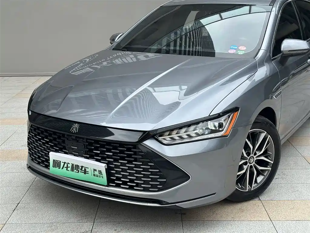 BYD Qin PLUS 2021 DM-i 55KM Flagship фото 2