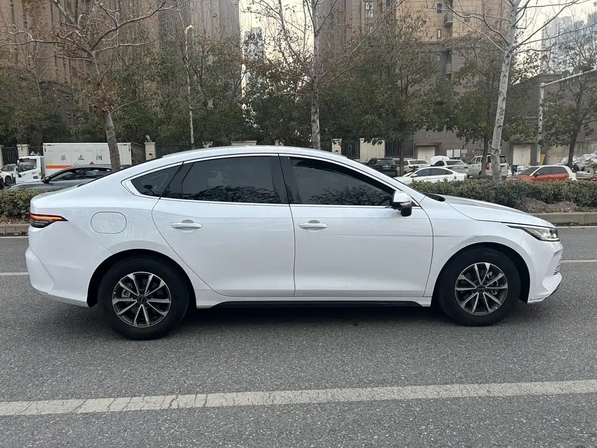 BYD Destroyer 05 2024 Glory Edition DM-i 55KM Luxury фото 4