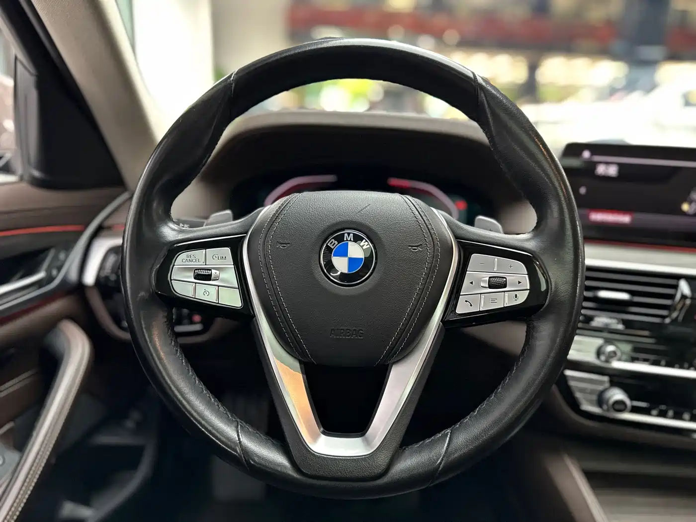 BMW 5 Series 2020 530Li Leading Luxury Package фото 5