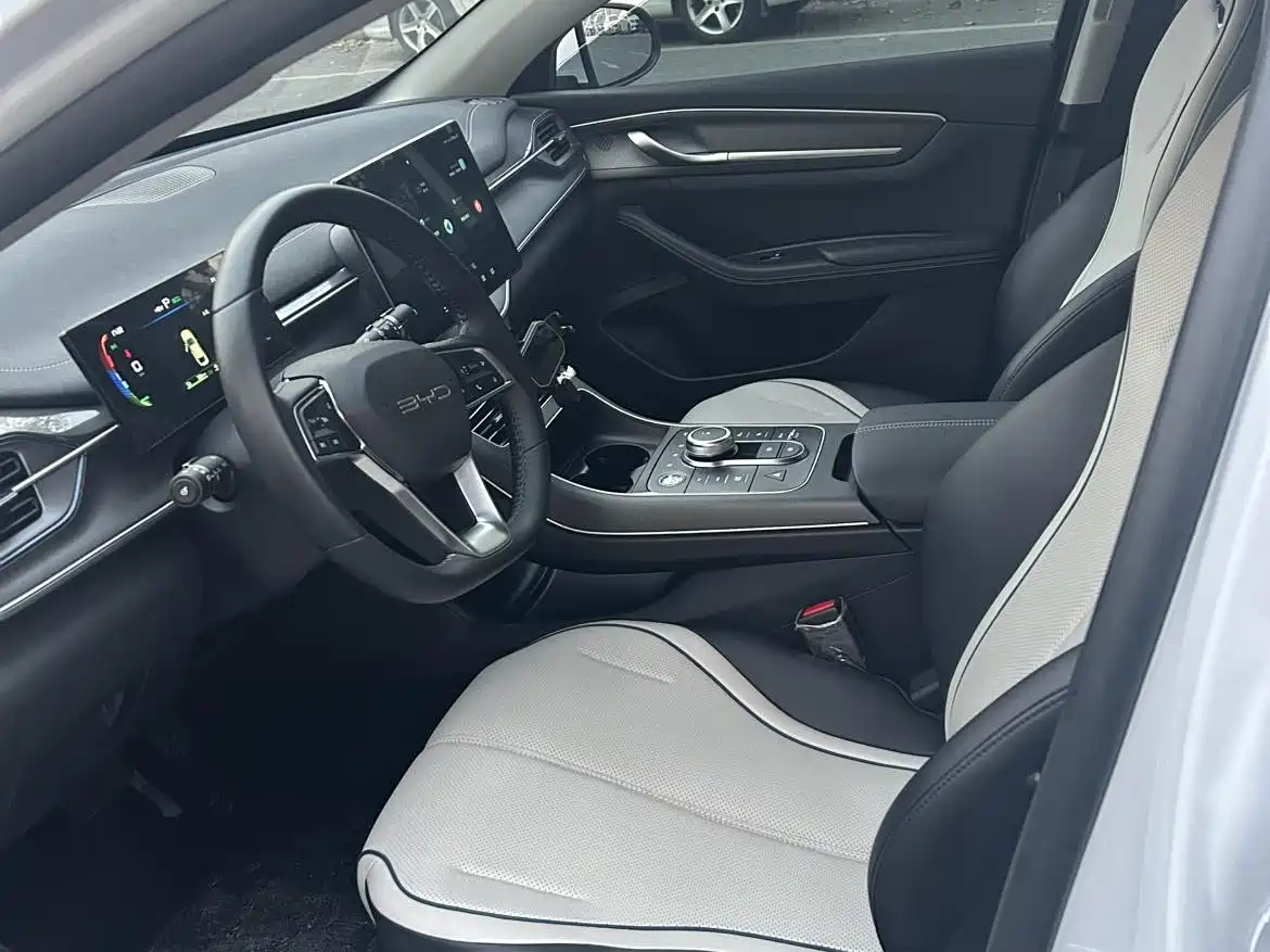 BYD Destroyer 05 2024 Glory Edition DM-i 55KM Luxury фото 6