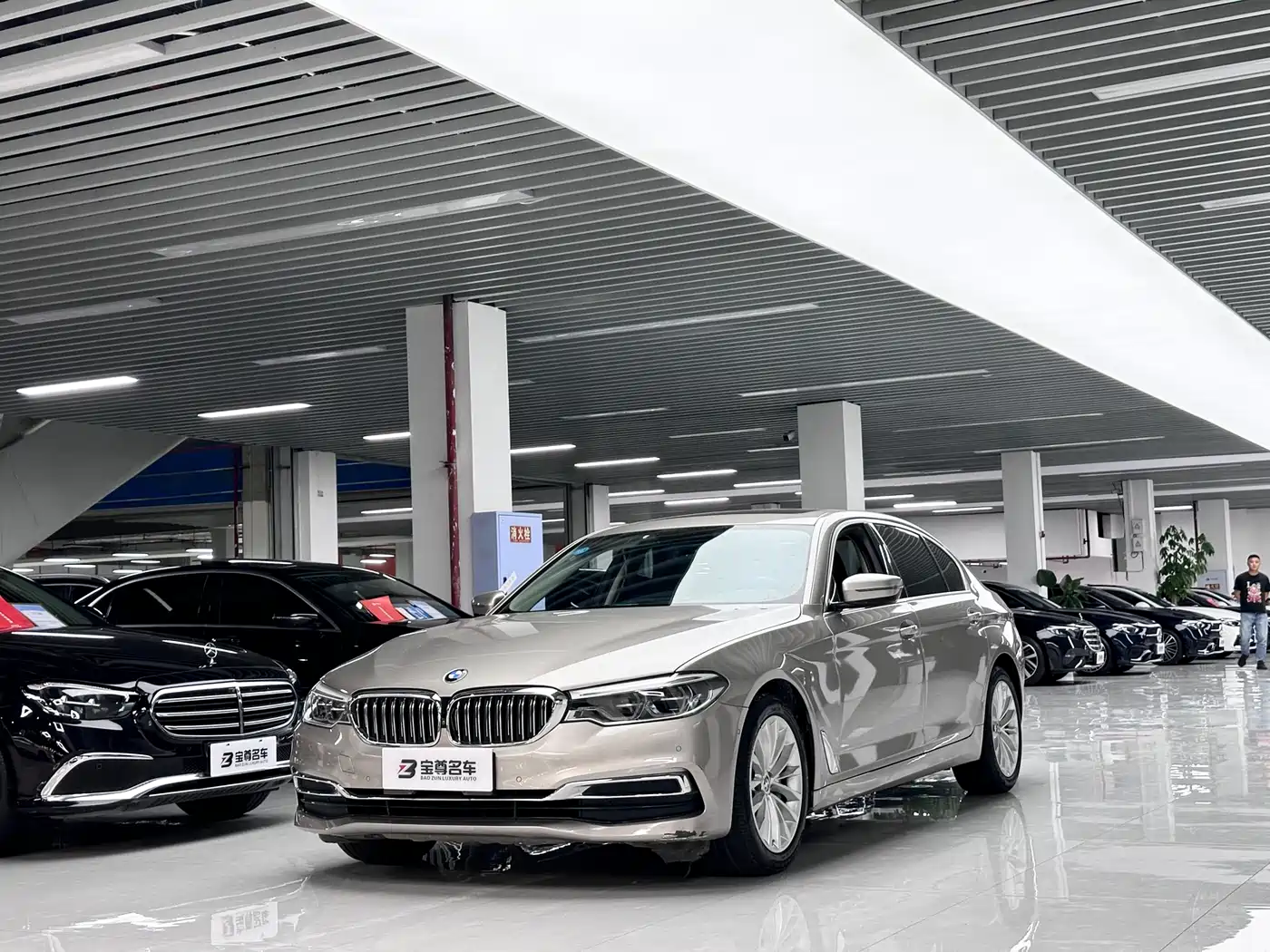 BMW 5 Series 2020 530Li Leading Luxury Package
