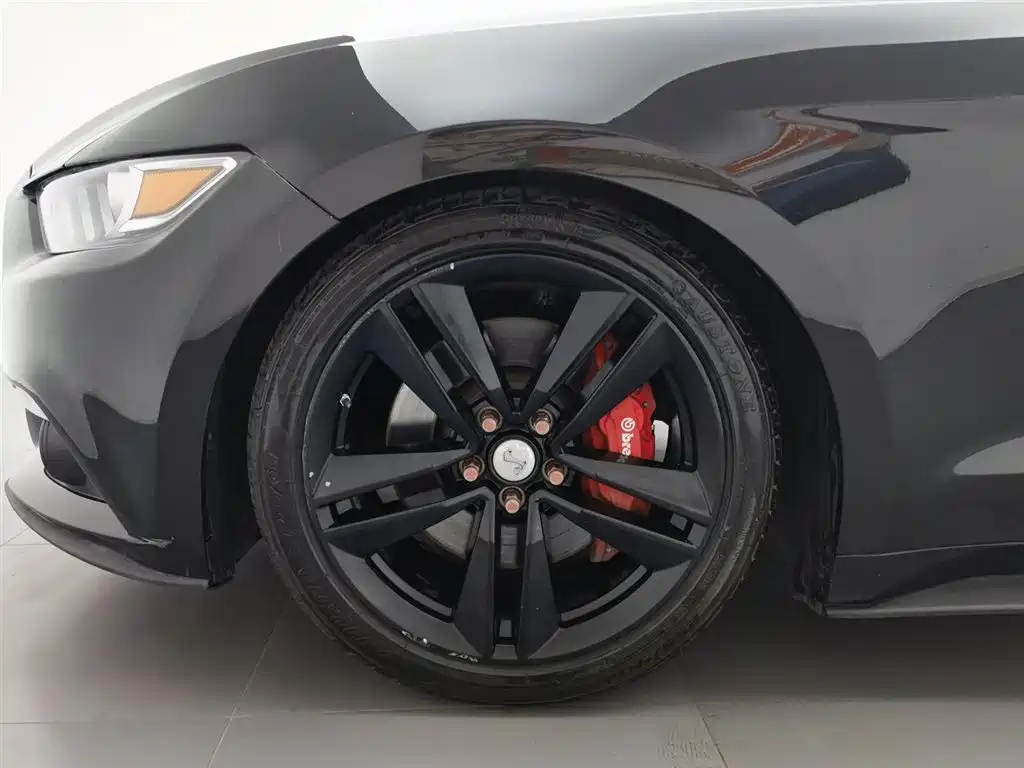 Ford Mustang 2015 2.3T Performance Edition фото 17
