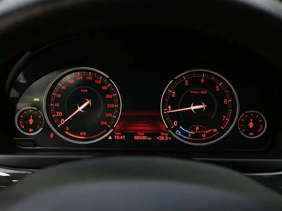 BMW 5 Series 2017 525Li Luxury Design Package фото 13