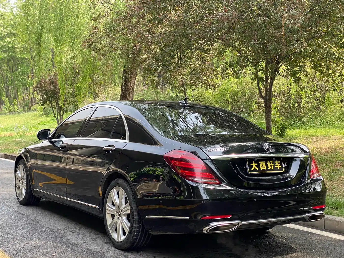 Mercedes-Benz S-Class 2019 S 450 L фото 7