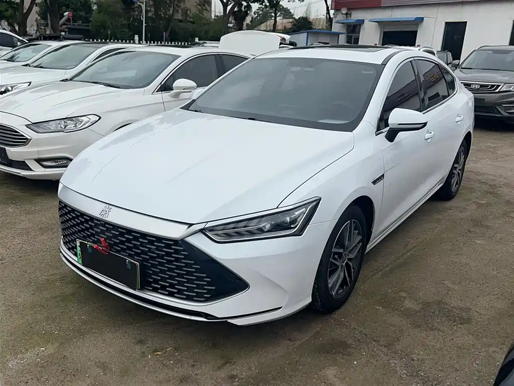 BYD Qin PLUS 2021 DM-i 55KM Flagship фото 2