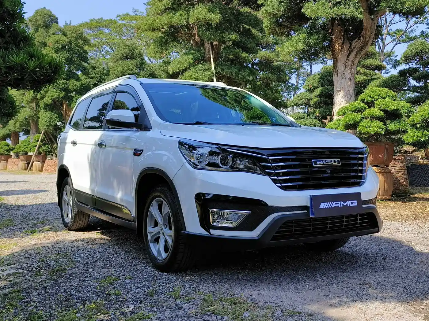 BISU AUTO SPECIFIC SPEED T5