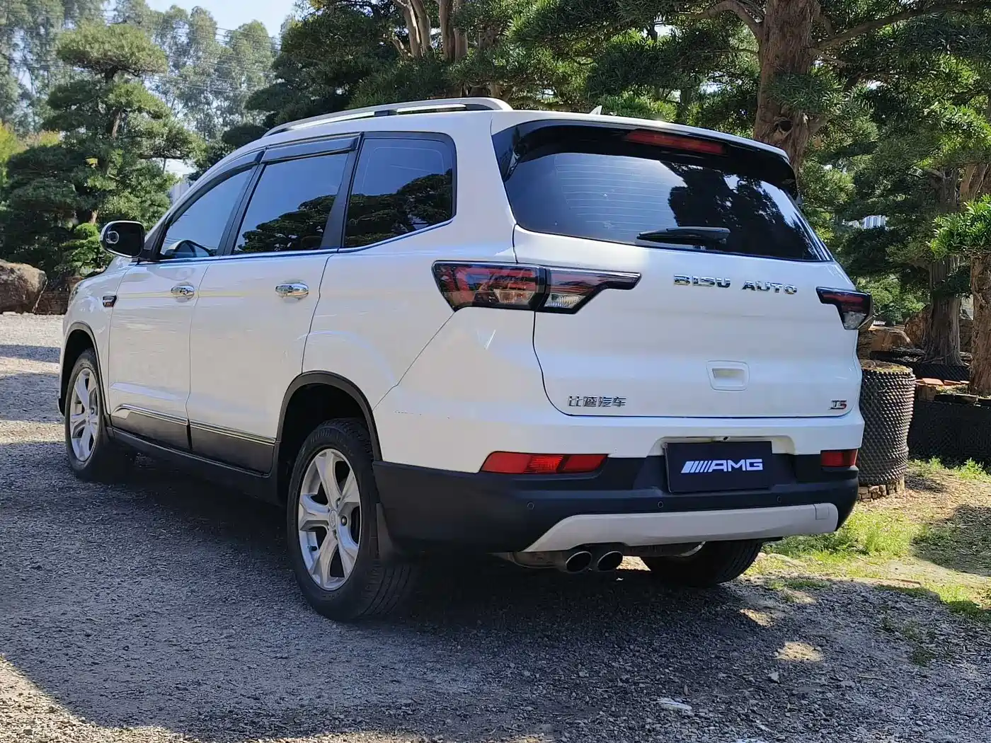 BISU AUTO SPECIFIC SPEED T5