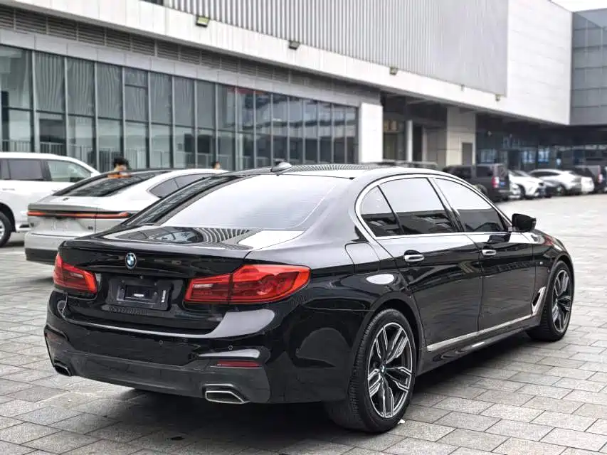 BMW 5 Series 2020 530Li Leading M Sport Package фото 13