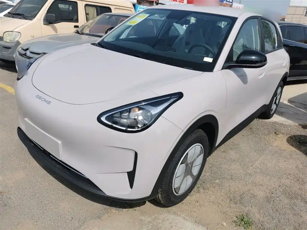 Geely Galaxy Starry Wish 2026 Edition 310km Youth Version