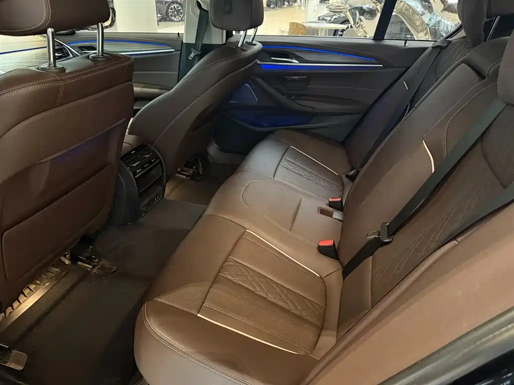 BMW 5 Series 2021 530Li Leading Luxury Package фото 12