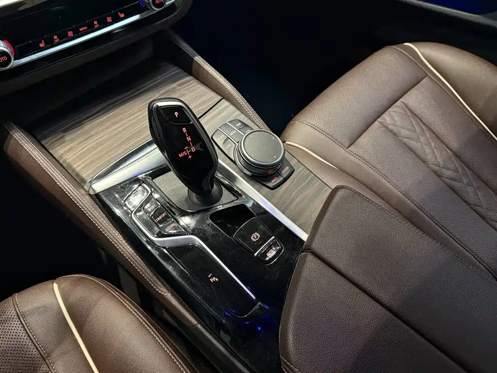 BMW 5 Series 2021 530Li Leading Luxury Package фото 8