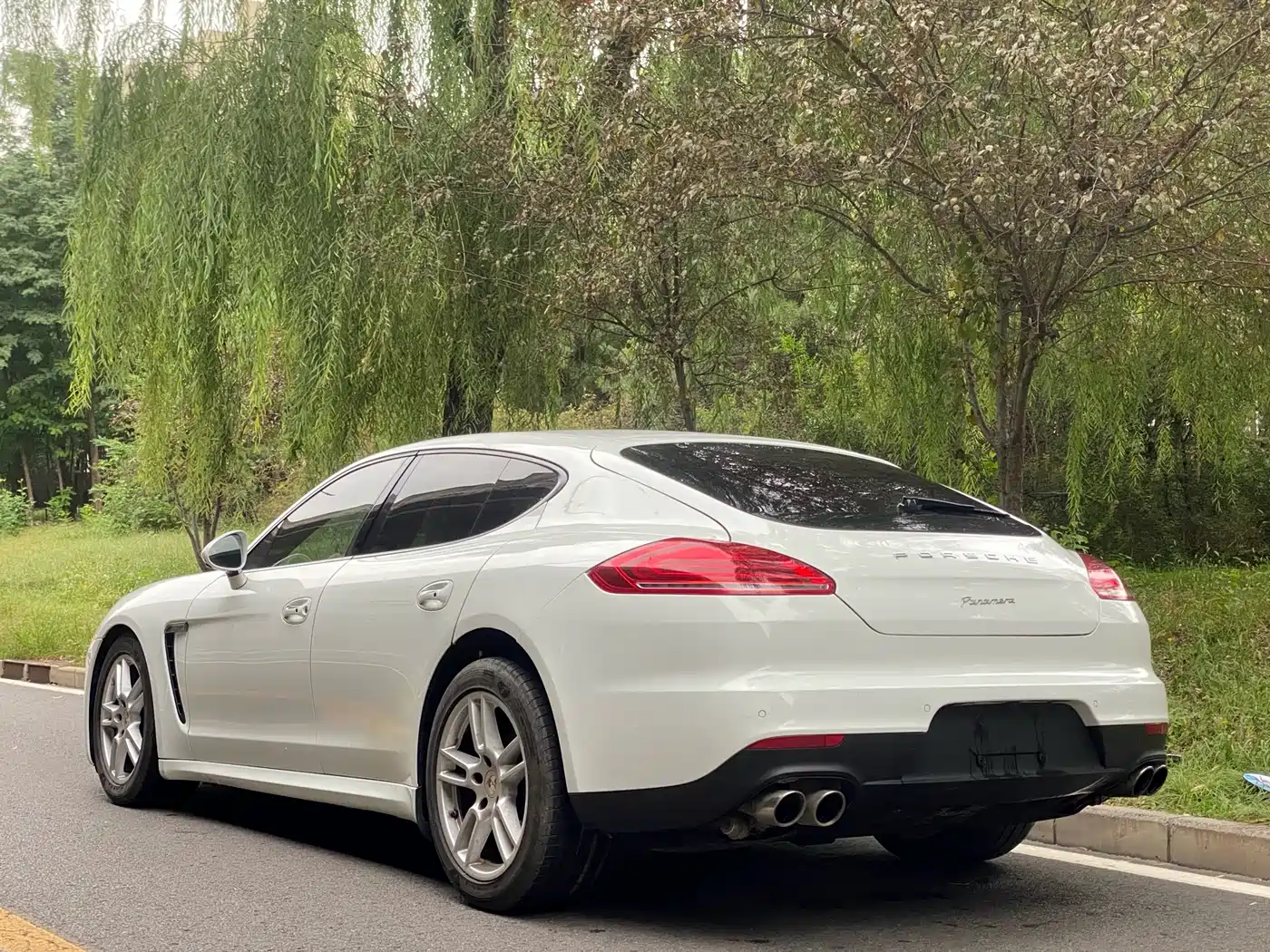 Porsche Panamera 2014 Panamera 3.0T фото 7