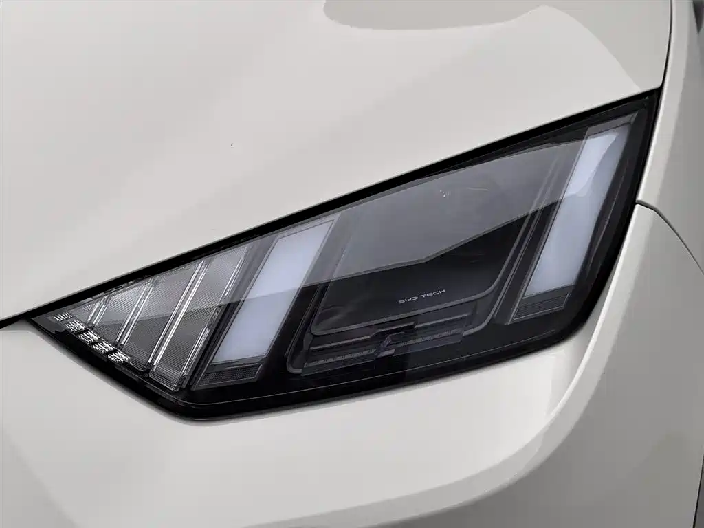 BYD Seagull 2025 Smart Drive Edition 305km Freedom Version фото 7