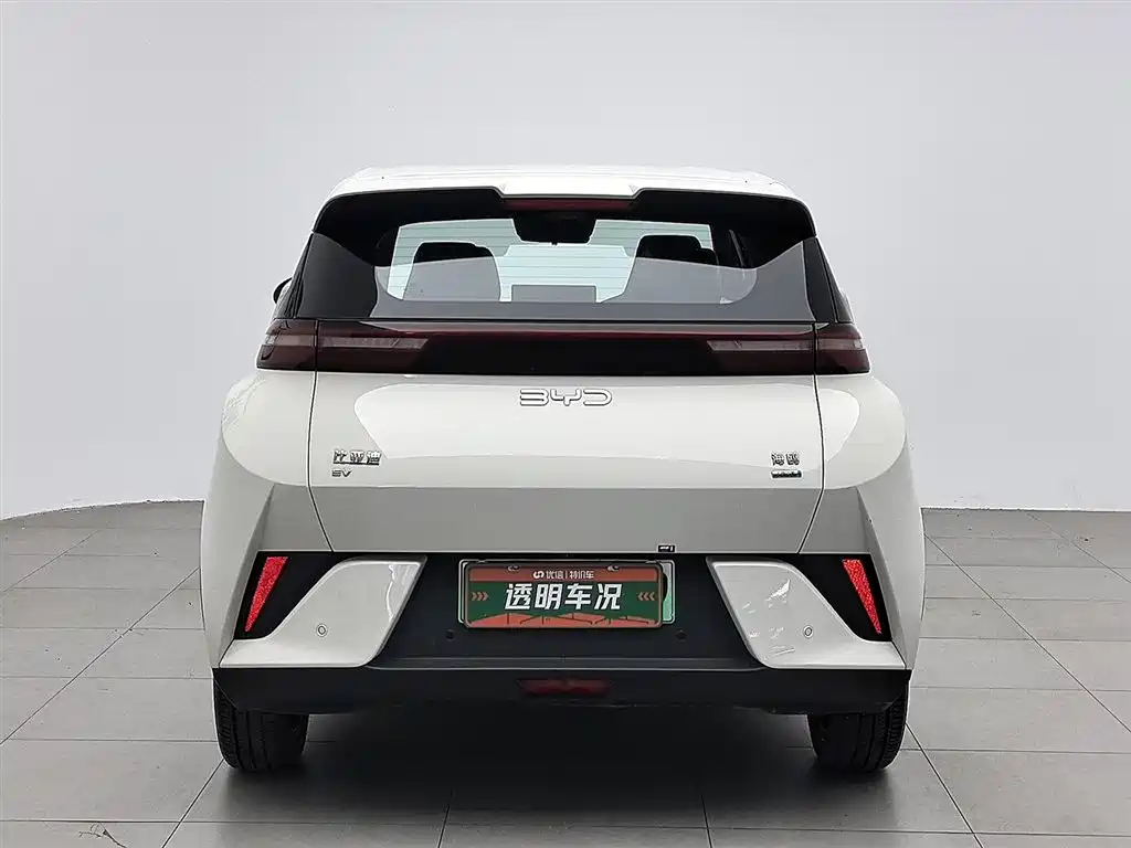 BYD Seagull 2025 Smart Drive Edition 305km Freedom Version фото 4