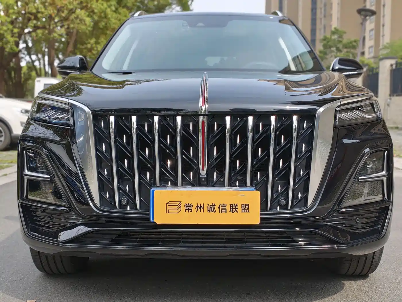 Hongqi HONGQI HS5