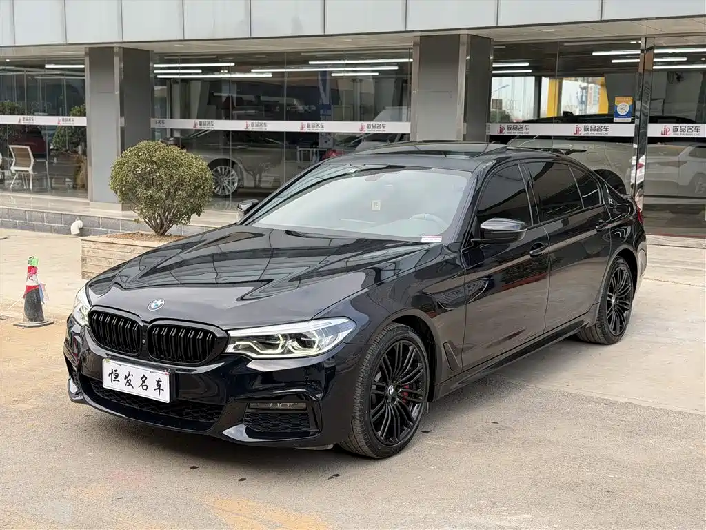 BMW 5 Series 2019 530Li Premium M Sport Package фото 3