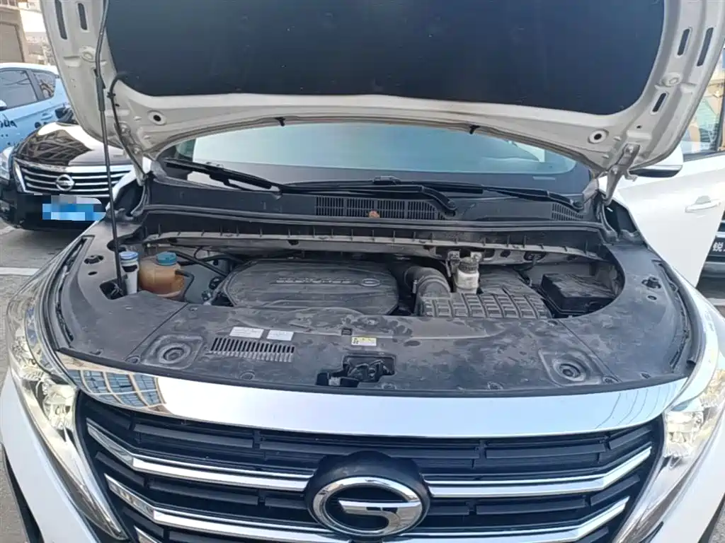 GAC Trumpchi Trumpchi M8 2021 Leading Show Series 390T Prestige Edition фото 20