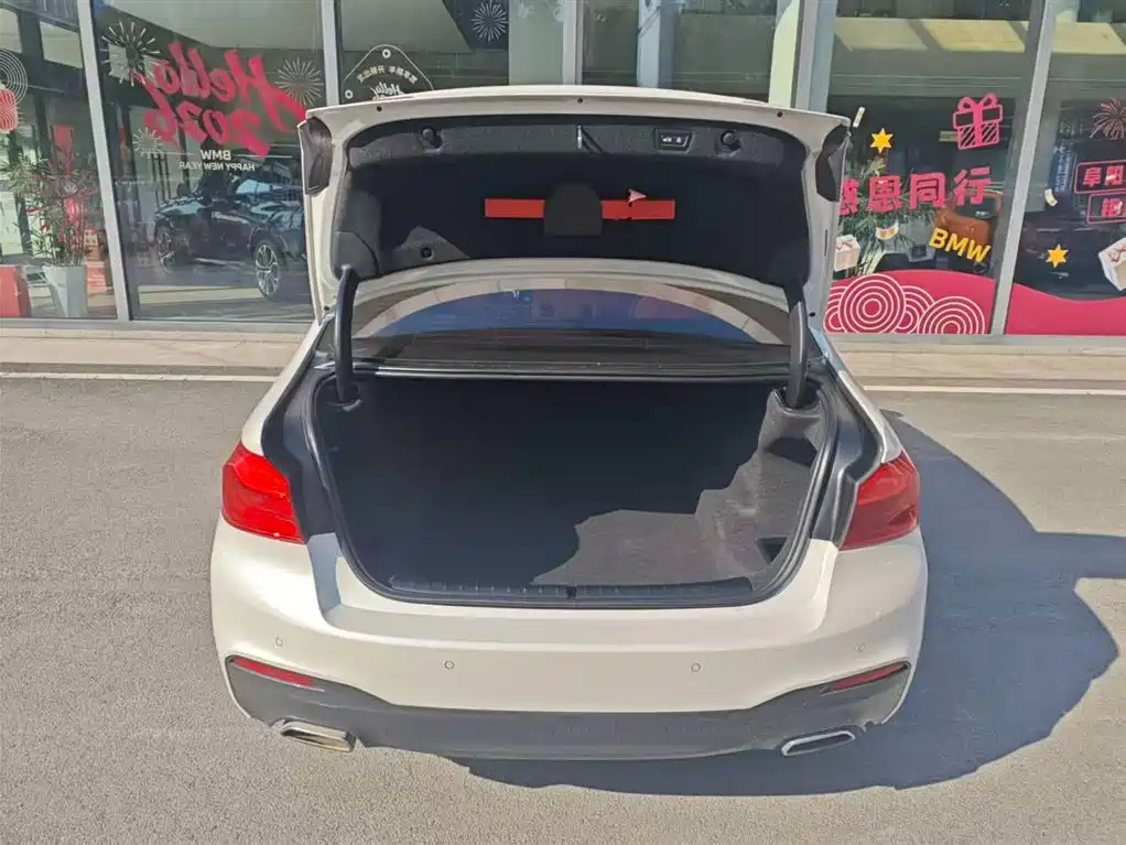 BMW 5 Series 2018 Facelift 530Li Exclusive M Sport Package фото 7