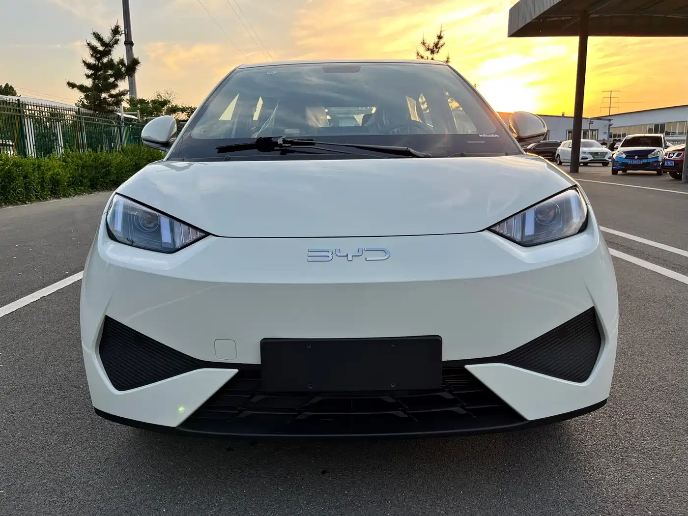 BYD Seagull 2025 Smart Drive Edition 305km Vitality Version фото 2
