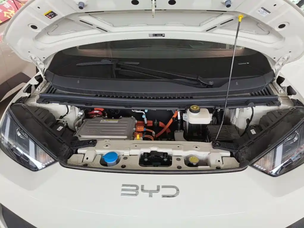 BYD Seagull 2026 2025 Smart Drive Edition 305km Vitality Version