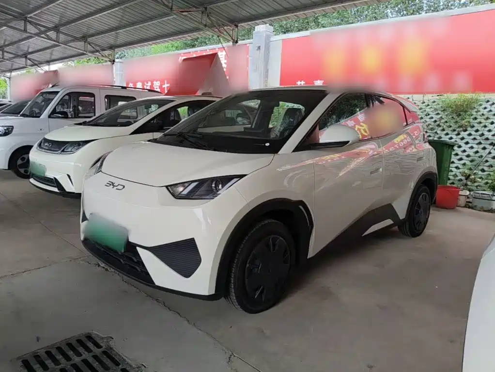 BYD Seagull 2026 2025 Smart Drive Edition 305km Vitality Version