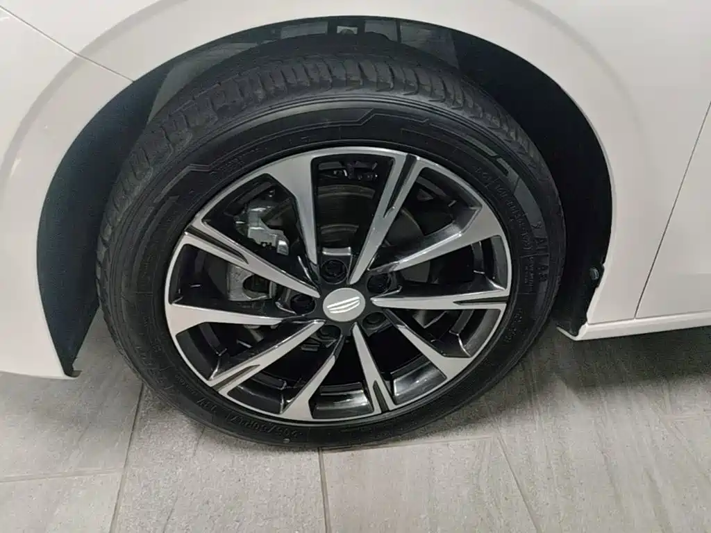 Photo 23 - Geely Emgrand
