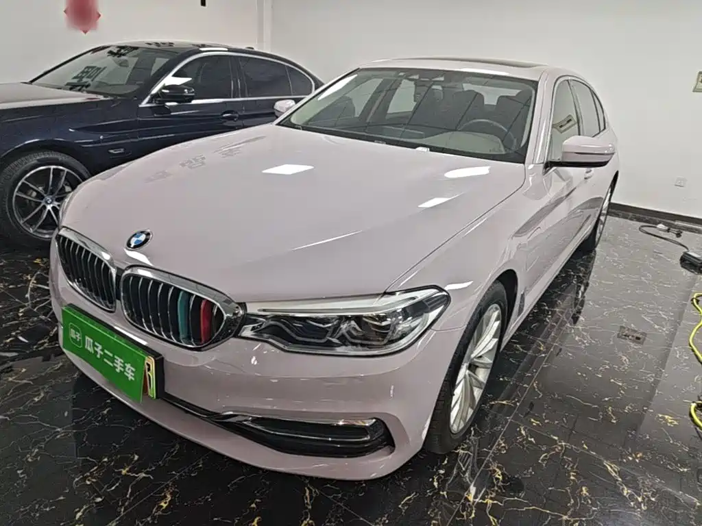 BMW 5 Series New Energy 2020 530Le Range Upgrade Luxury Package