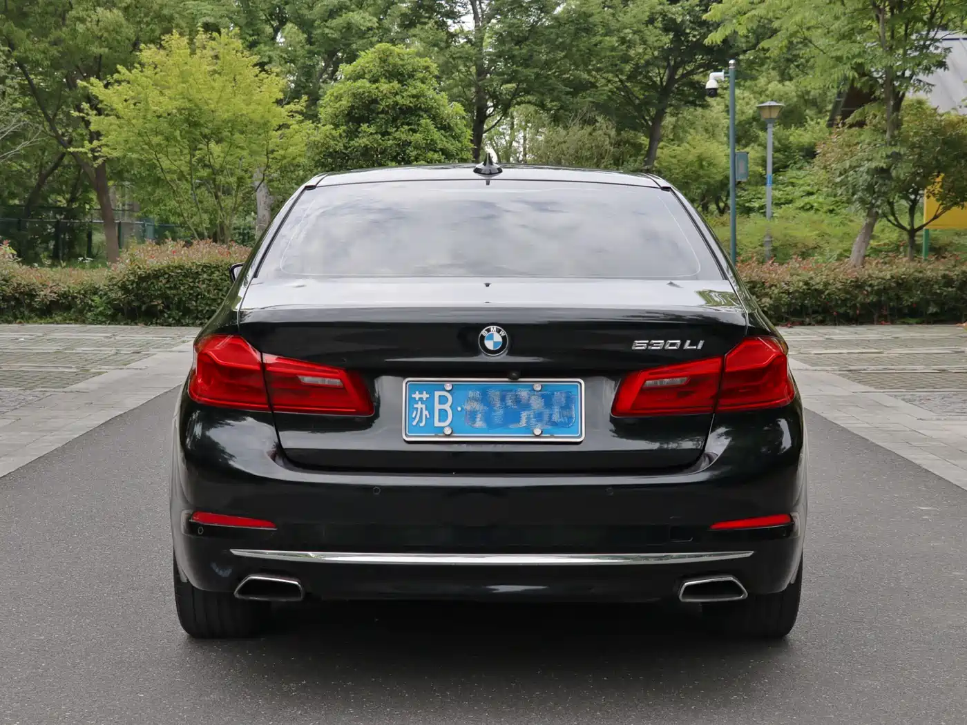 BMW 5 Series 2018 530Li Leading Luxury Package фото 9