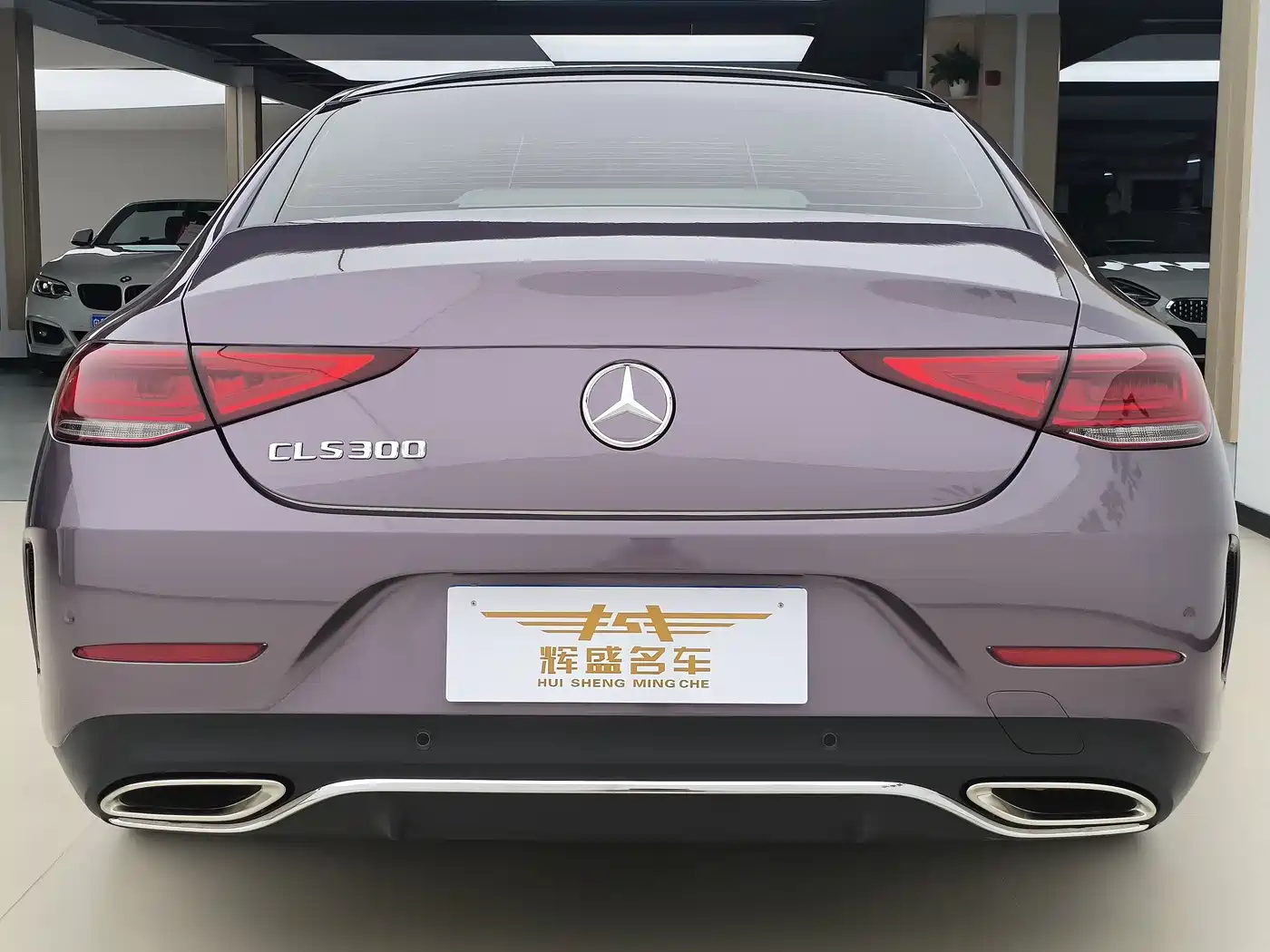 Mercedes-Benz CLS 2022 CLS 300 Dynamic фото 14