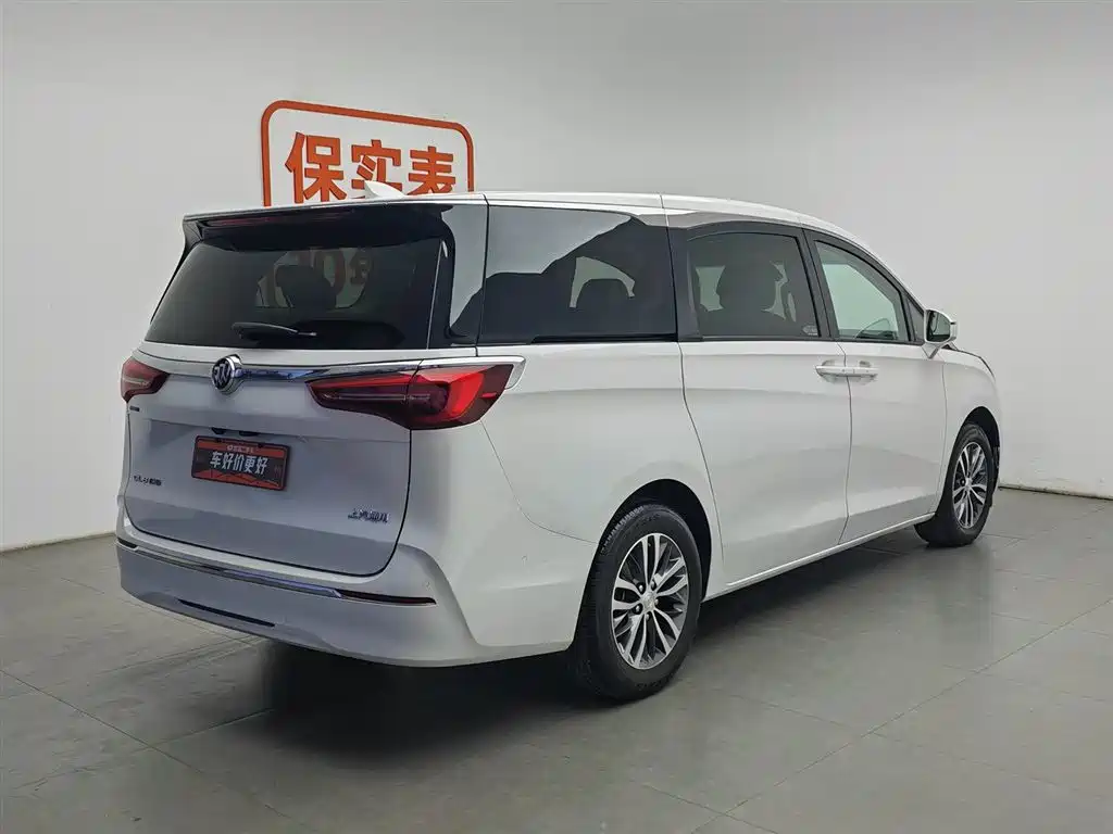 Buick GL8 2022 ES Landmark 653T Premium фото 2