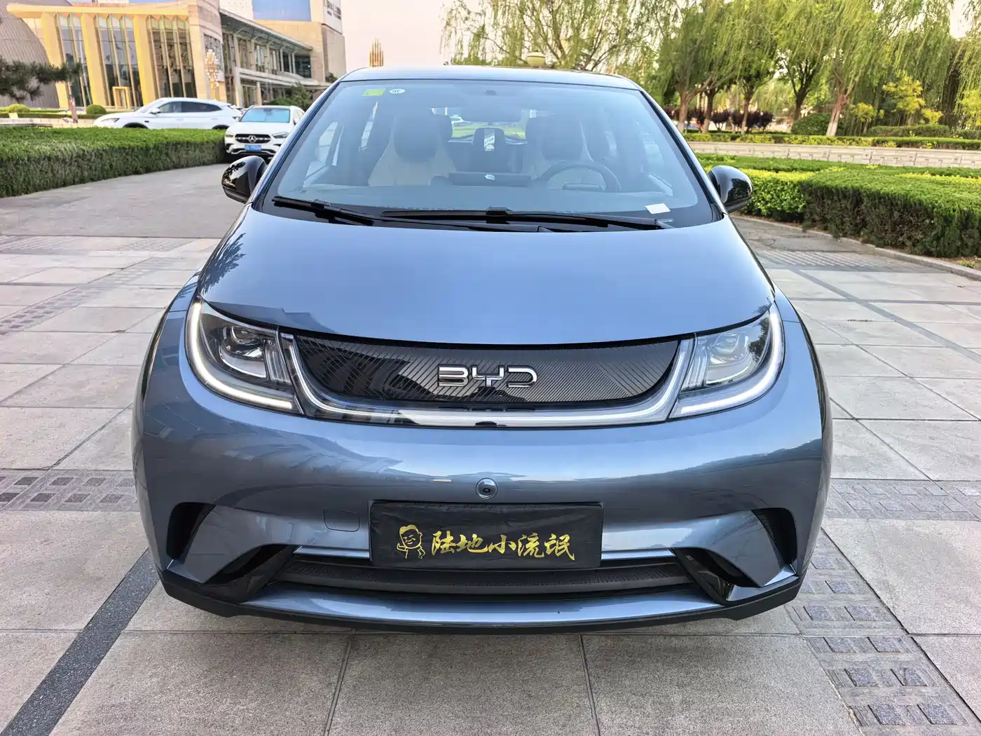 BYD Dolphin 2025 420km Freedom Edition