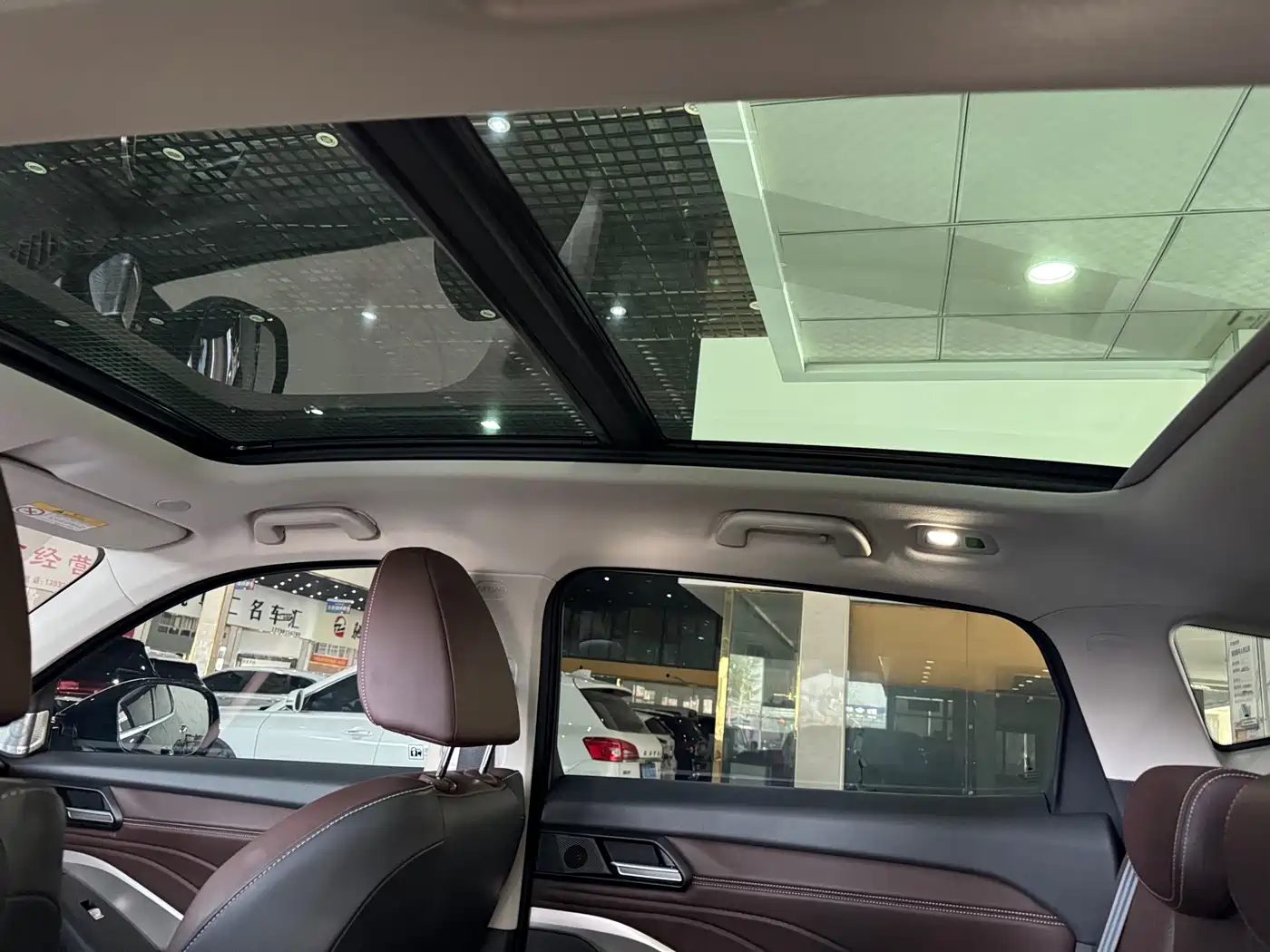 WEI PAI WEI BRAND VV6