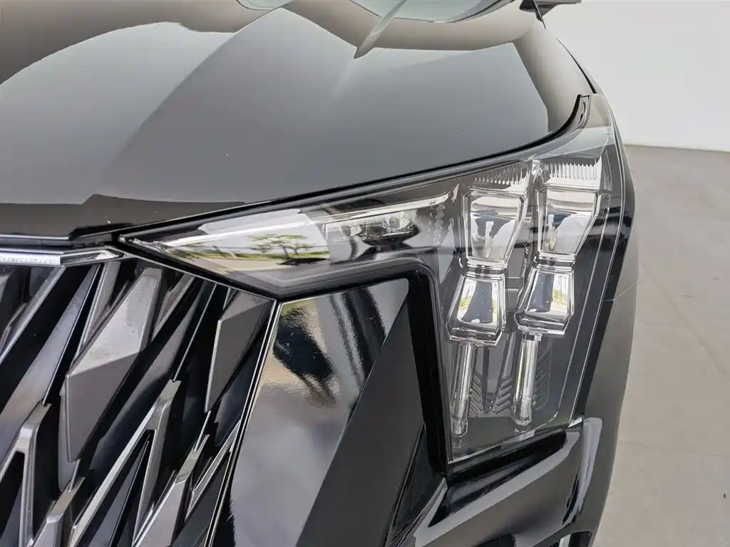 GAC Trumpchi Trumpchi GS8 2022 Dual Engine Series 2.0TM 2WD Premium Edition (7-Seater) фото 7
