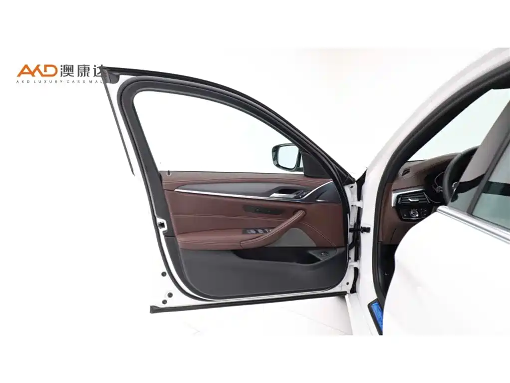 BMW 5 Series 2022 Model Second Facelift 530Li Leading M Sport Package фото 10
