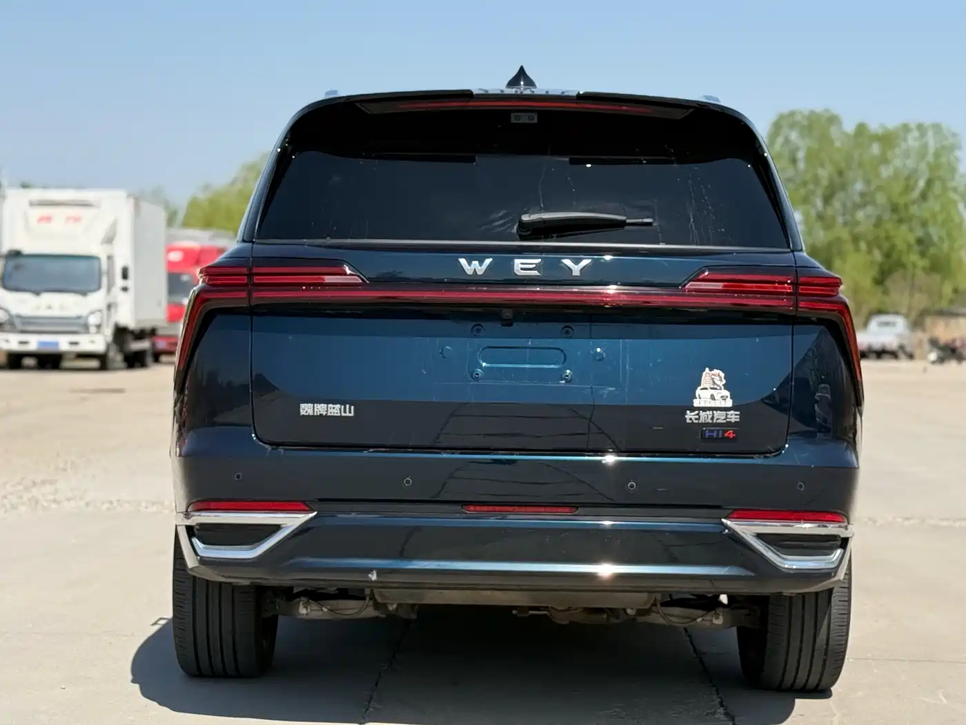 WEI PAI WEI BRAND BLUE MOUNTAIN