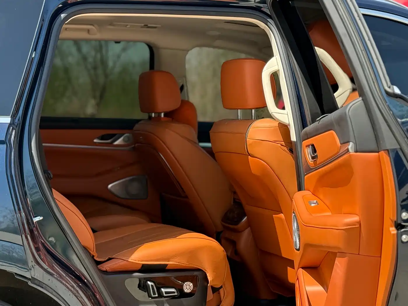 WEI PAI WEI BRAND BLUE MOUNTAIN