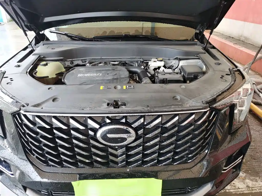 GAC Trumpchi Trumpchi GS8 2024 Navigator Series 2.0TGDI 2WD Luxury Smart Connect Edition фото 10