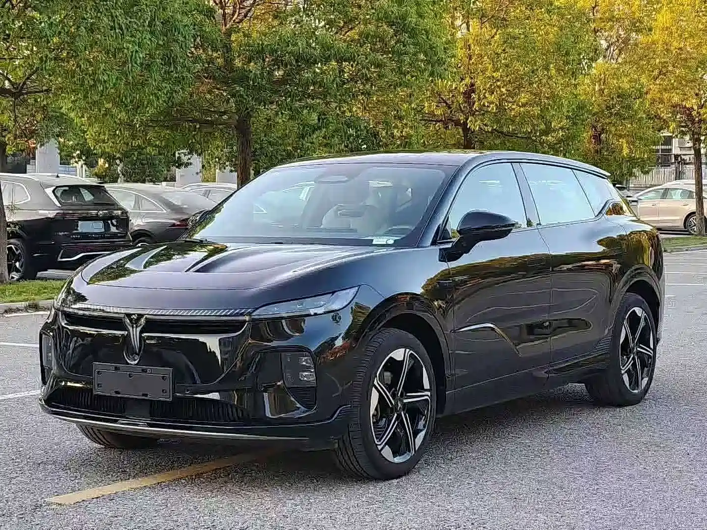 Voyah Auto Voyah Zhiyin