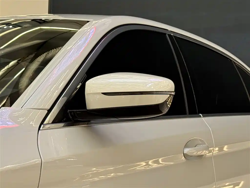 BMW 5 Series 2021 Facelift 530Li Leading Luxury Package фото 24