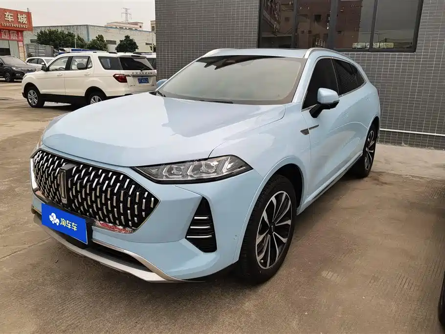 WEI PAI WEI BRAND MOCHA