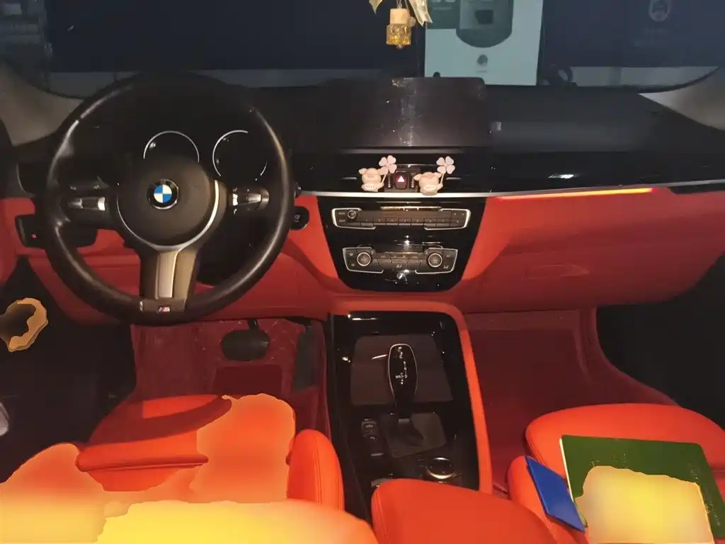 BMW X2 2022 sDrive25i M Sport Package фото 6
