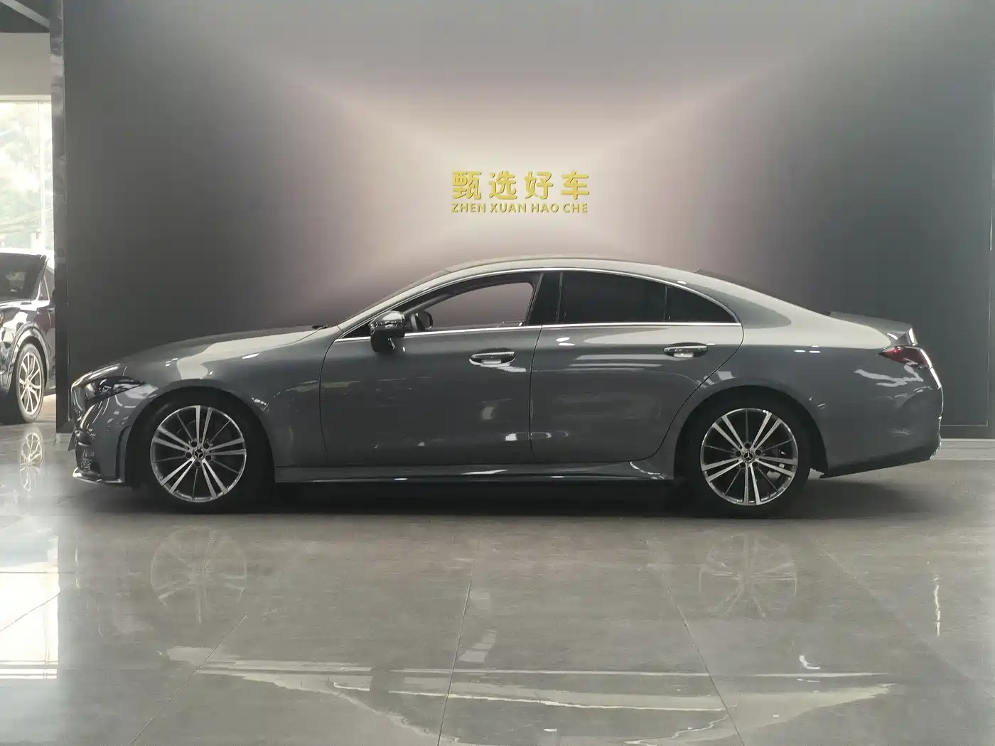 Mercedes-Benz CLS 2021 CLS 300 Sport фото 10