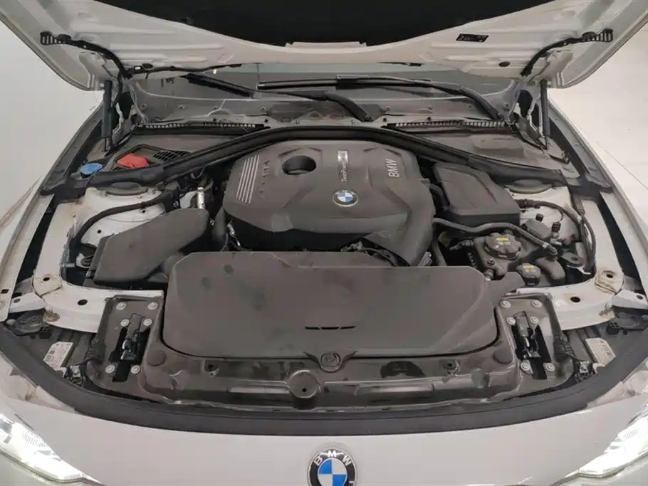 BMW 3 Series 2019 320Li Fashion Type фото 10