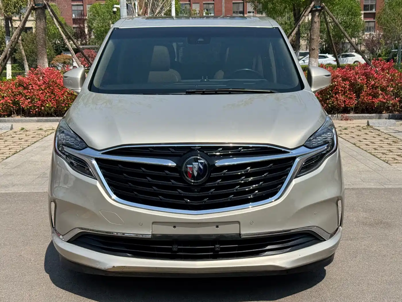 Buick GL8 2021 ES Landlord 653T Luxury фото 2