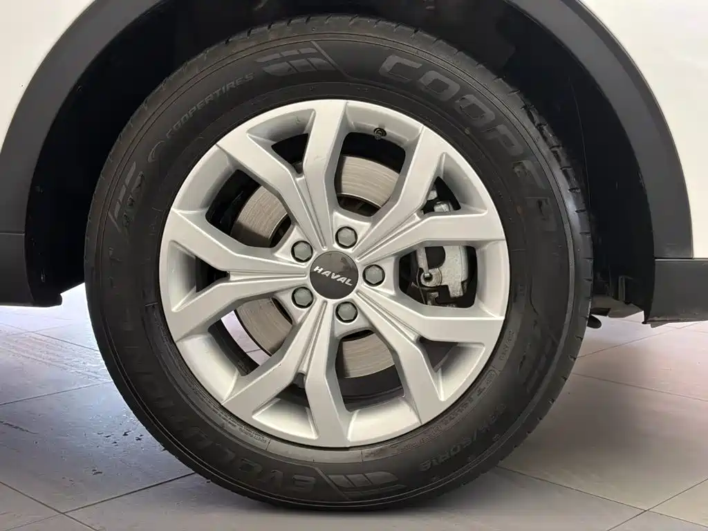 صورة 10 - Haval H6