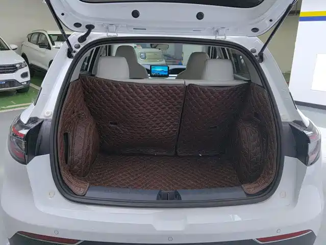 Geely Galaxy Starry Wish 2025 310km Youth Edition — фото 4