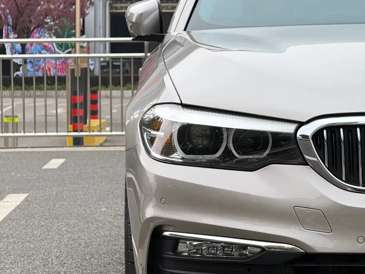 BMW 5 Series 2018 528Li Launch Special Edition фото 3