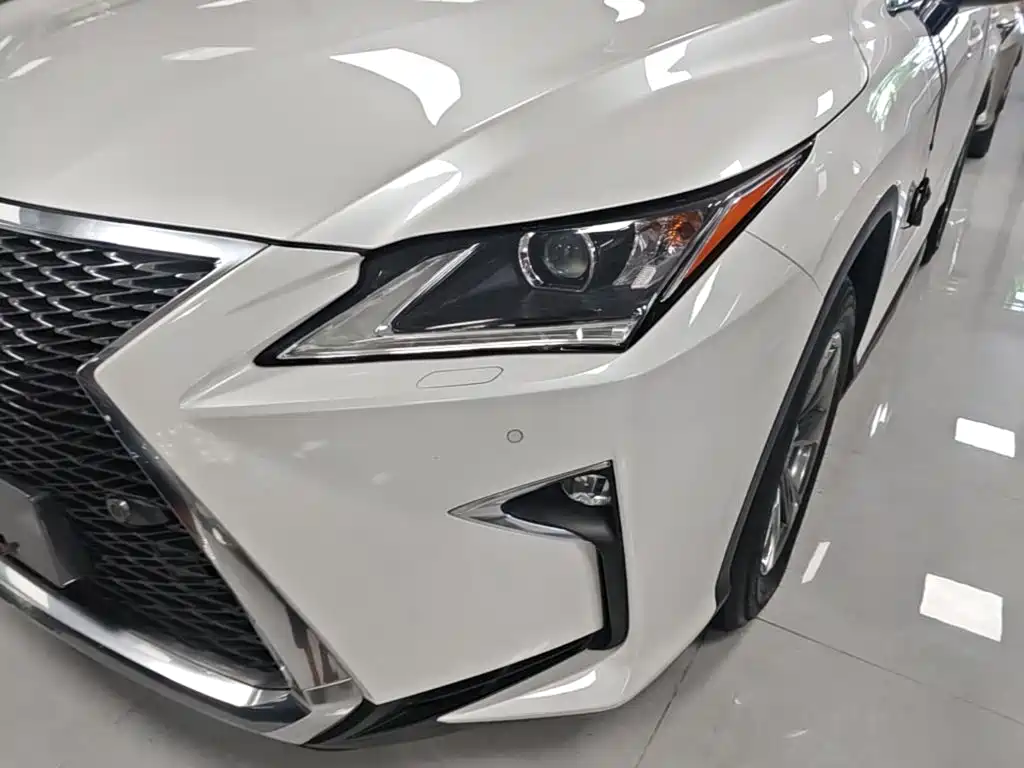 Фото 24 - Lexus RX