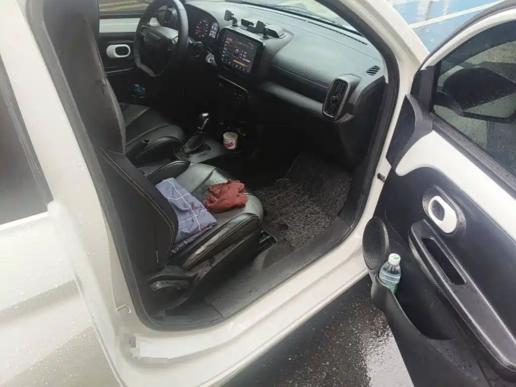 Roewe Kaiwei CLEVER 2023 2022 311km Vitality Bobo Edition